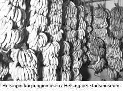 Banaaniterttuja Elannon keskusvarastossa