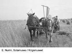 viljankorjuu meneillään Kurkijoen Särkijärvellä