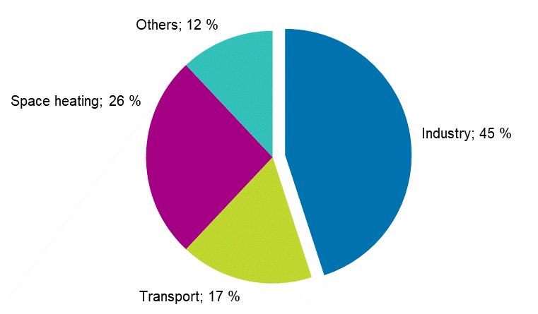 Appendix figure 14. Final energy consumption by sector 2019*