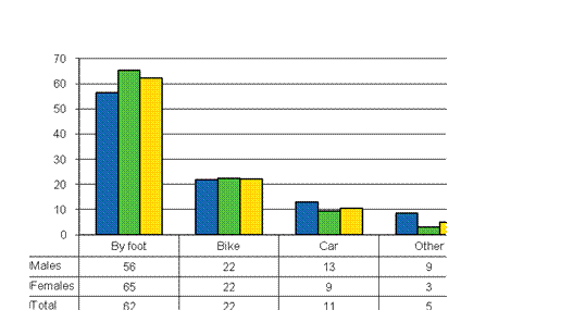 Figure 9. Wage and salary earners' commuting accidents by mode of travel and gender in 2009